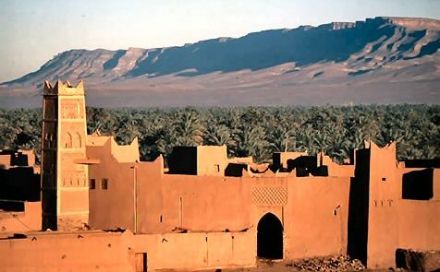 Suivez Jacline à dos de chameau en pays berbère
