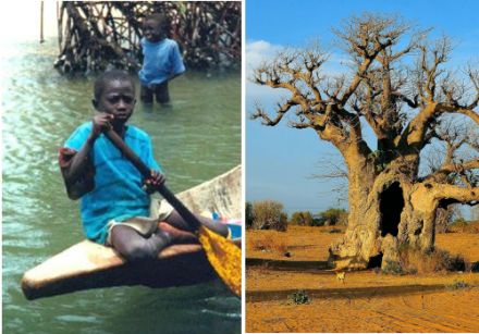 Nature généreuse sur les rives de la Casamance