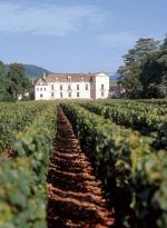 Beaune, aux couleurs des grands vins de Bourgogne 1
