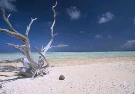 Fakarava, le 2e plus grand atoll de Polynésie 1