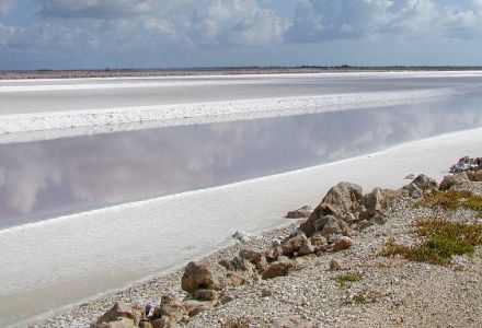 Inagua, le paradis des oiseaux… et du sel  1