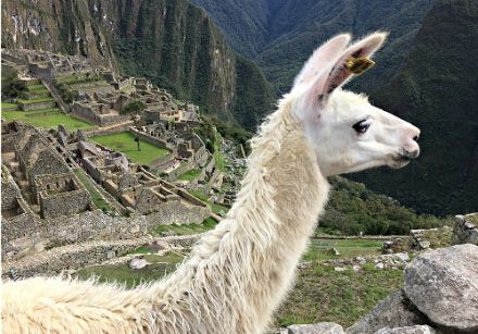 Suivez Jacline à Machu Picchu et ses environs 1