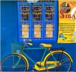Coups de coeur à Pondichery : SITA Art Center et Wake up tour à bicyclette 1